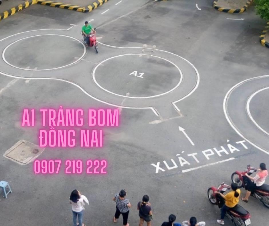 thi bang lai xe may a1